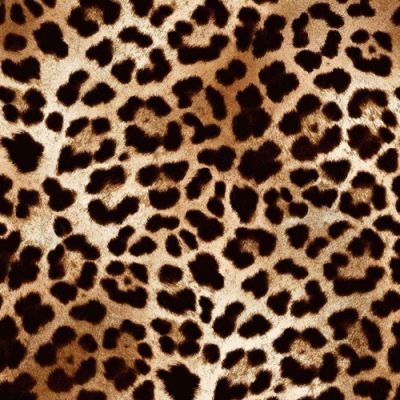 Leopard Pattern in Black, Golden, and Brown on Rayon Spandex Jersey Knit Fabric