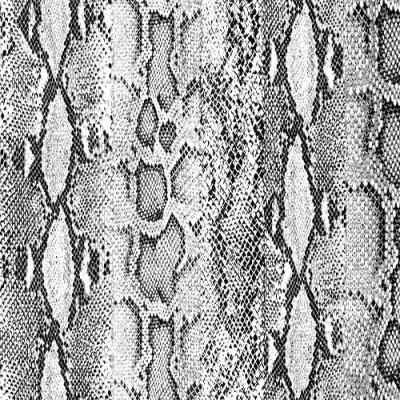 Double-Sided Brushed DTY Fabric adorned with a printed pattern resembling snake skin